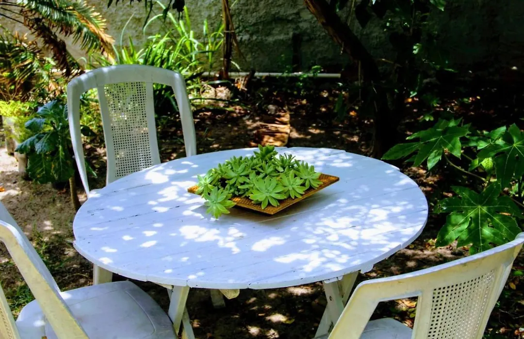 Casinha Rustica Em Monte Alto-1